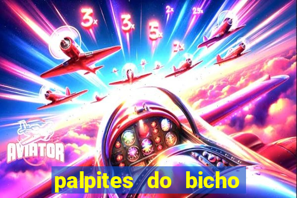 palpites do bicho no celular